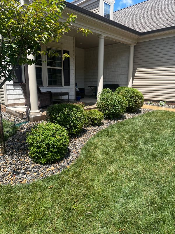 Garden Design & Landscaping