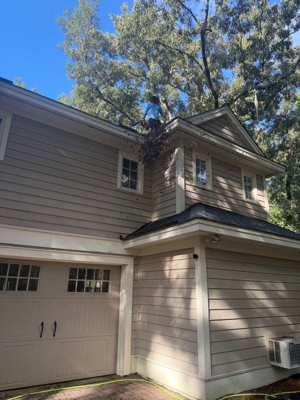 Softwash roof cleaning