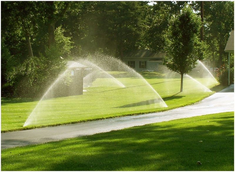Irrigation System Repair