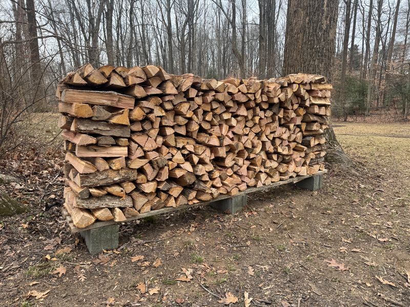 Seasoned firewood