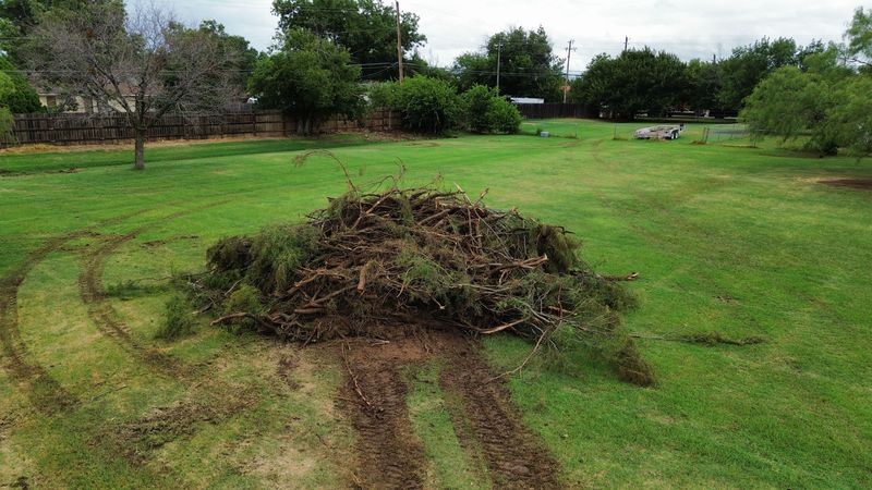 Wichita Falls Land Clearing Job