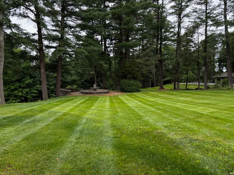 Lawn Maintenance