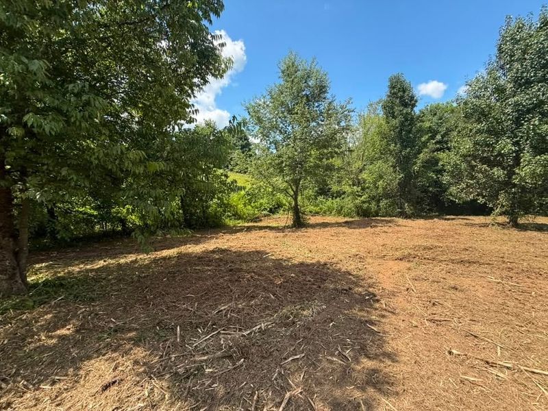 Land Clearing