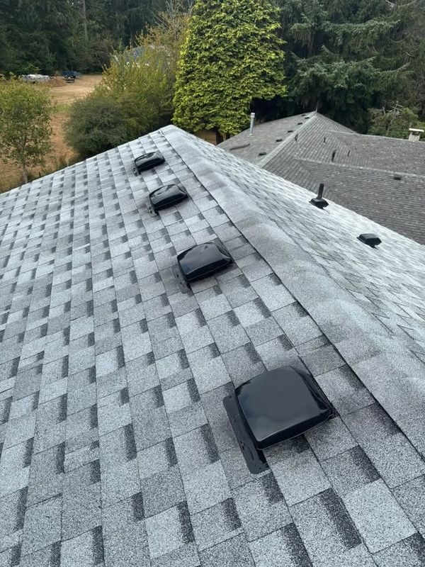 Roof Cleaning