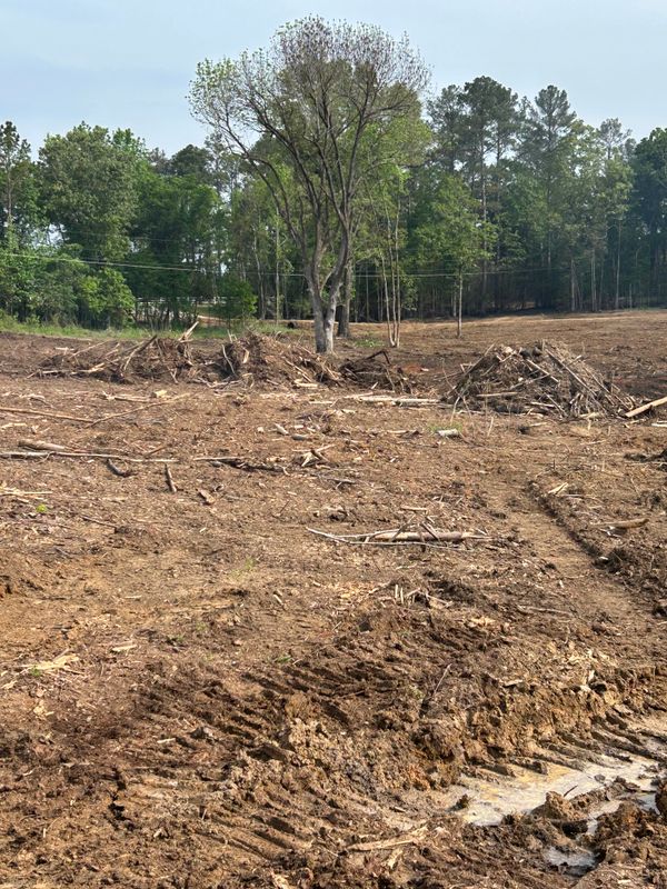 Land Clearing