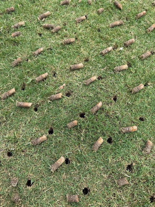Lawn Aeration