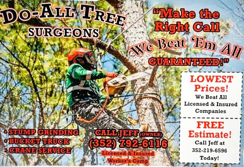 Tree Trimming