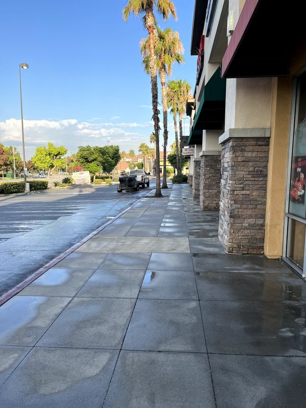 Driveway and Sidewalk Cleaning