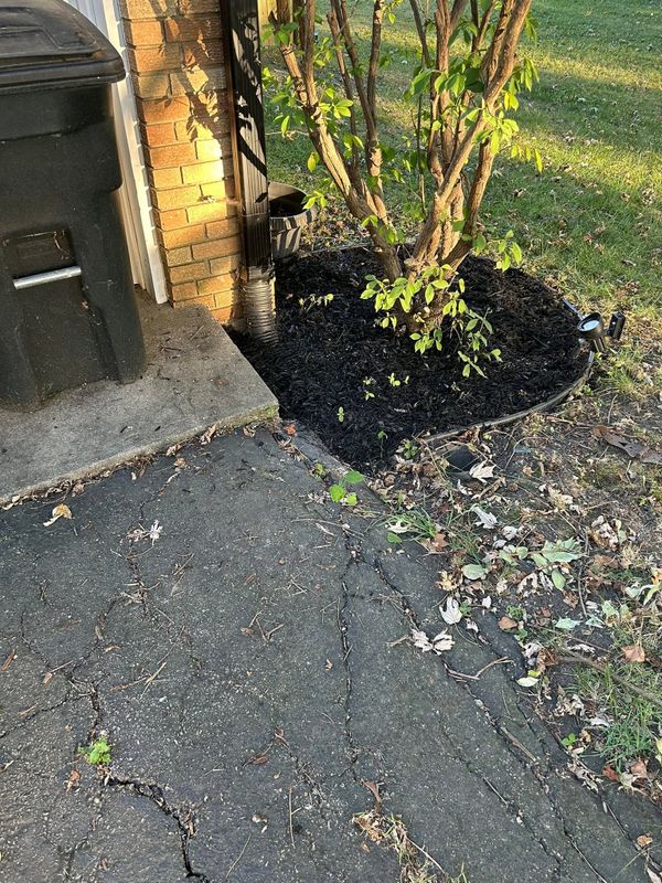 Mulch Bed Installation and Renovation