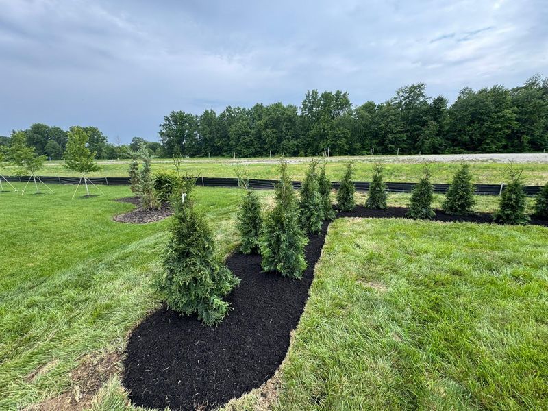 Mulch Installation