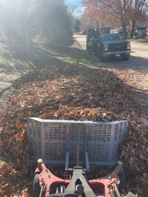 Fall Clean Up