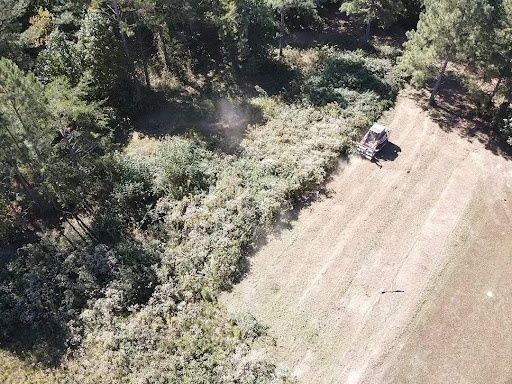 Land Clearing