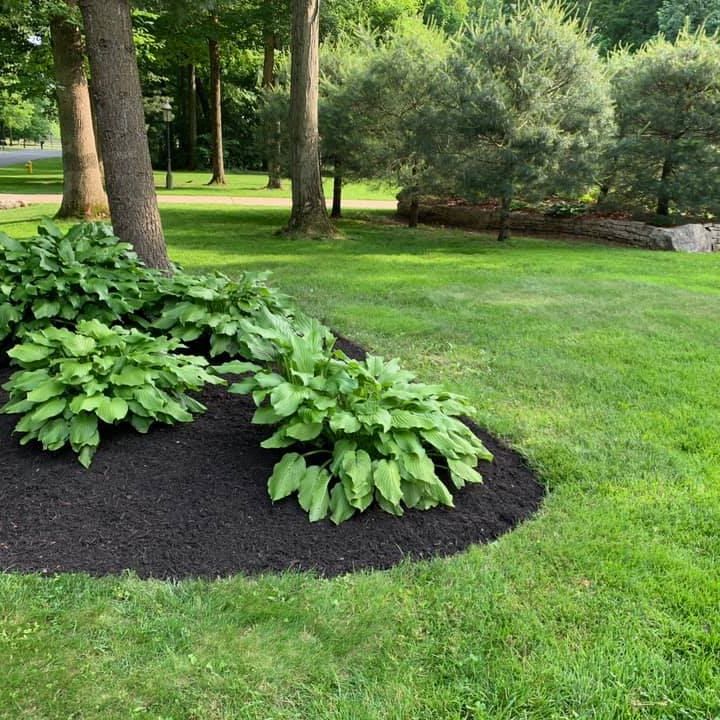Landscape Design
