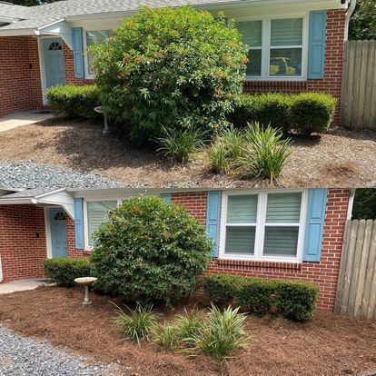 Landscape Cleanup