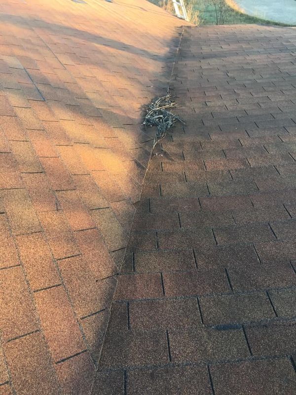 Roofing Installation