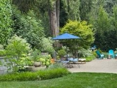 Fall and Spring Clean Up