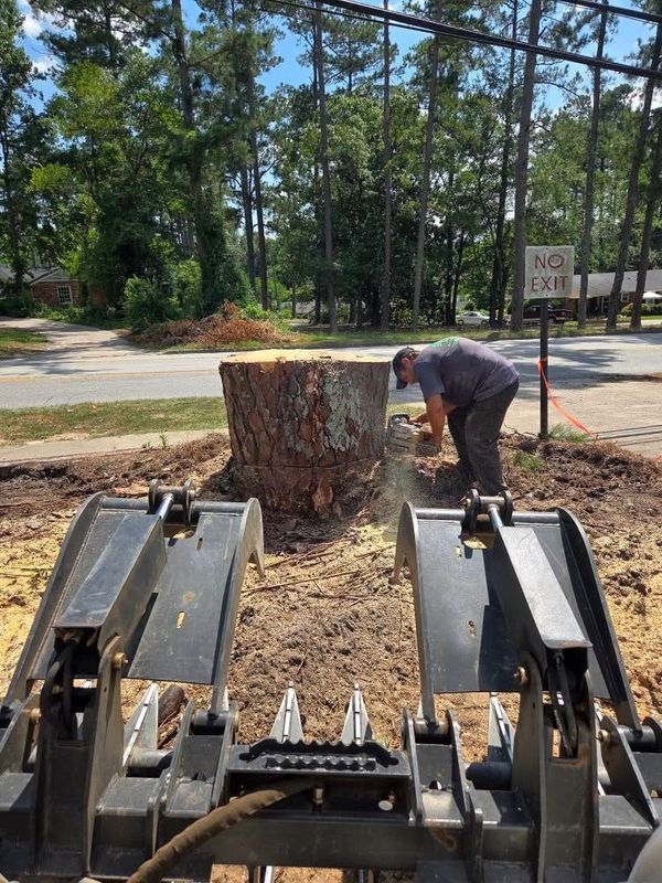 Stump Removal
