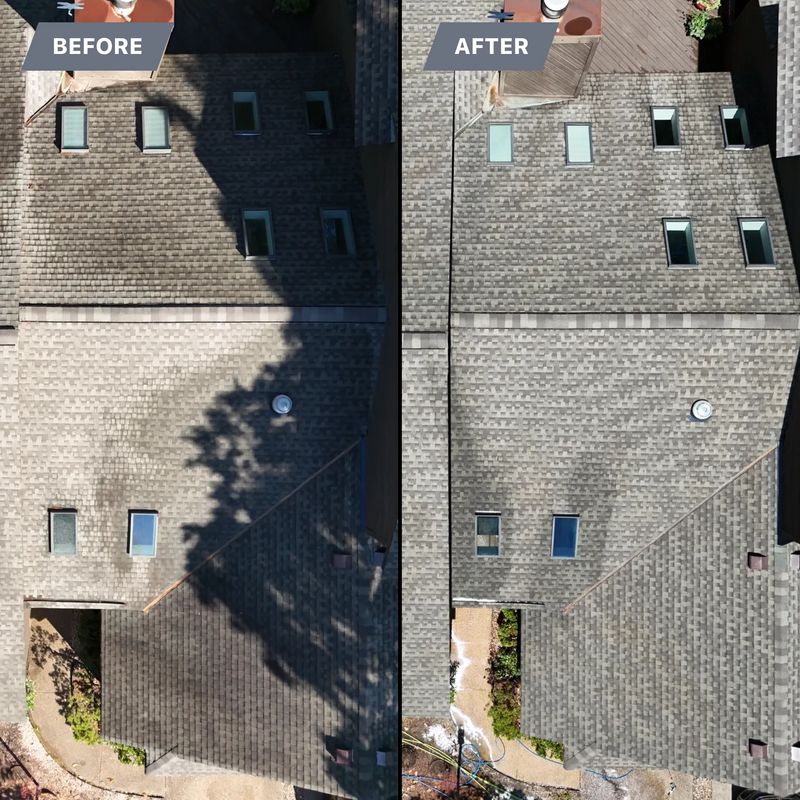 Roof Soft Wash