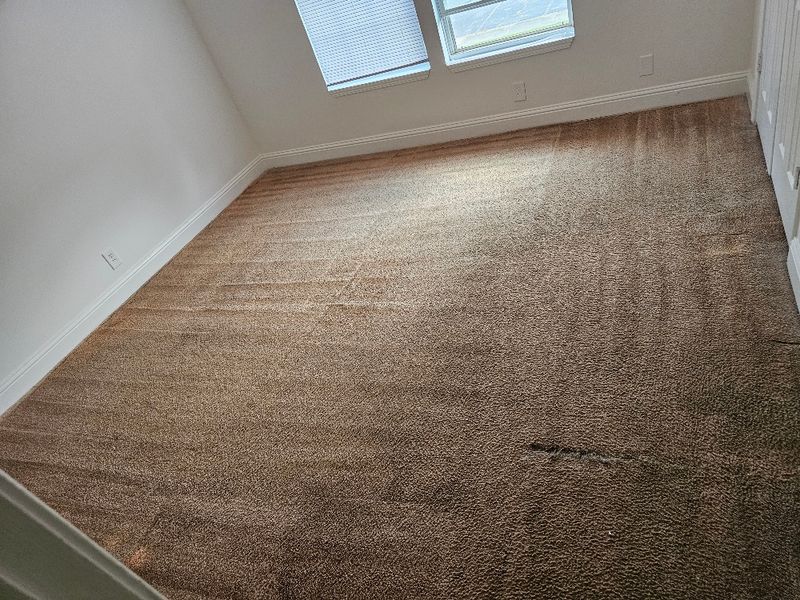 Carpet Cleaning