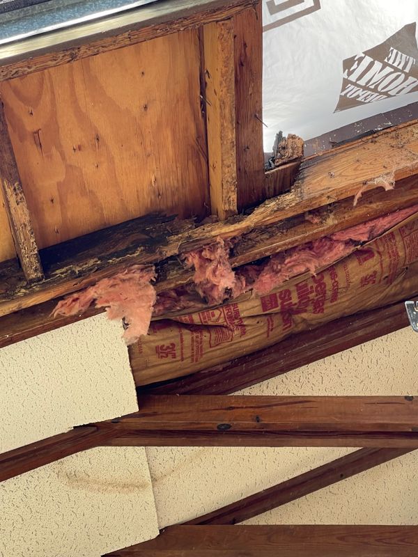 Termite Repairs