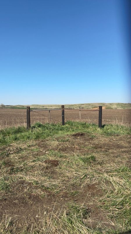 Pipe Fencing