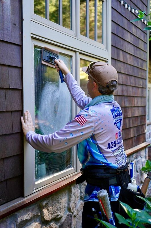 Window Cleaning