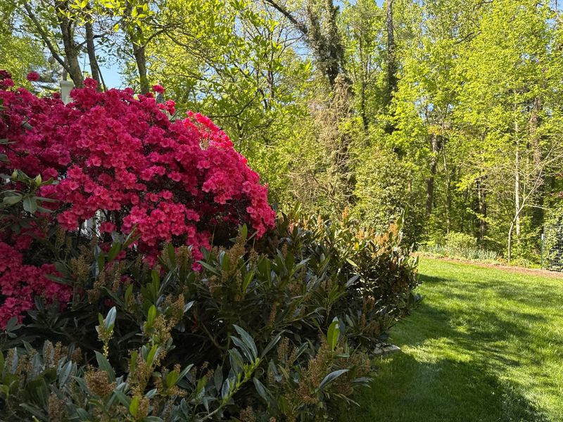 Lawn Care Services