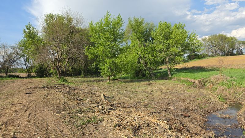 Land Clearing