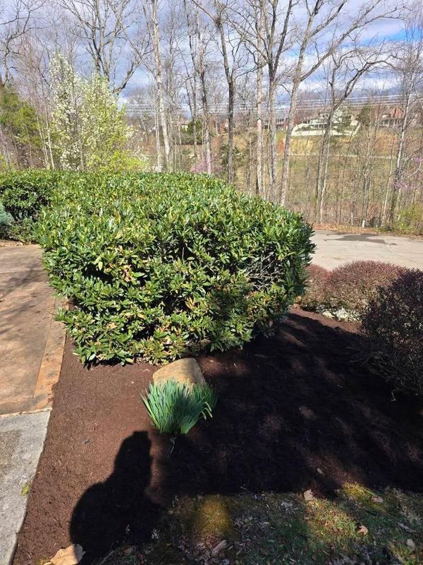 Landscaping