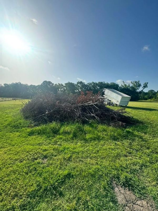 Tree Removal