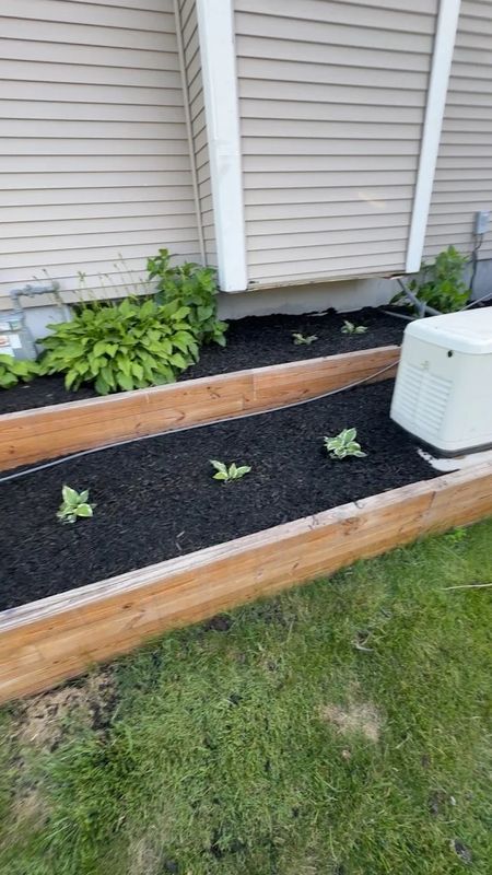 Bed Edging