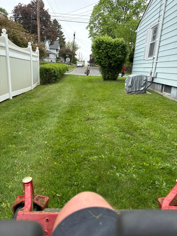 Lawn Maintenance