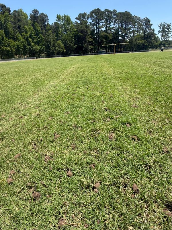 Athletic Field Management