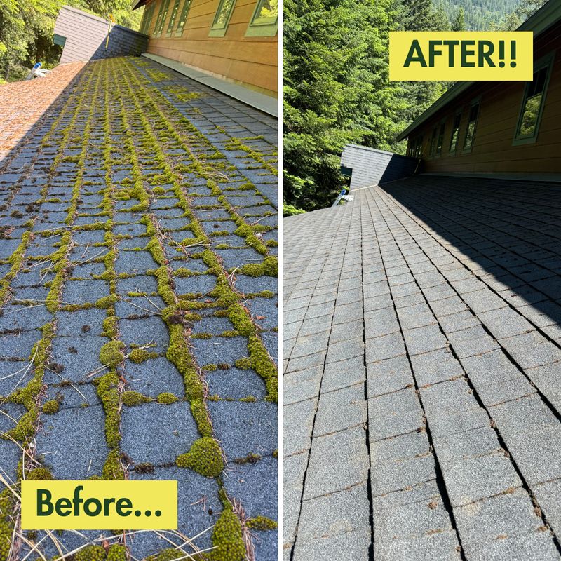 Moss Removal