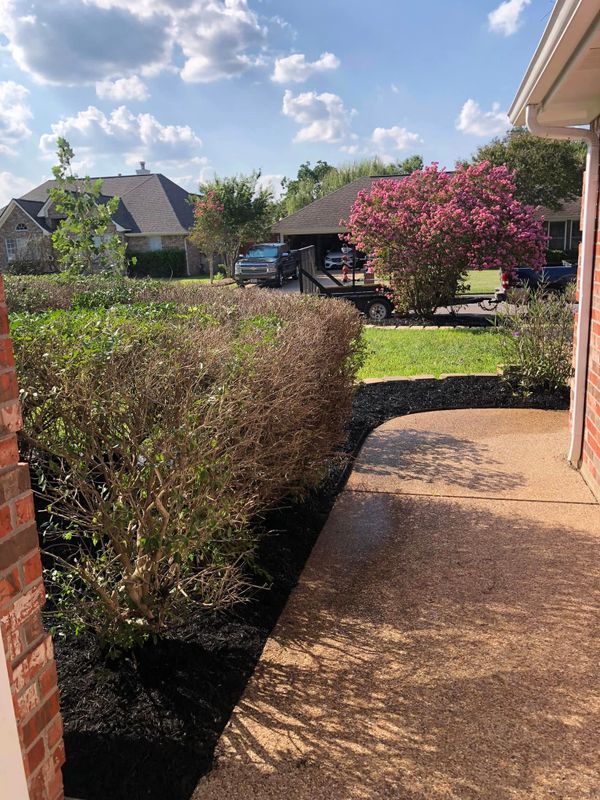 Lawn Maintenance