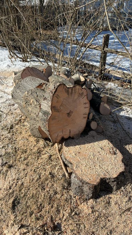 Tree Removal gallery