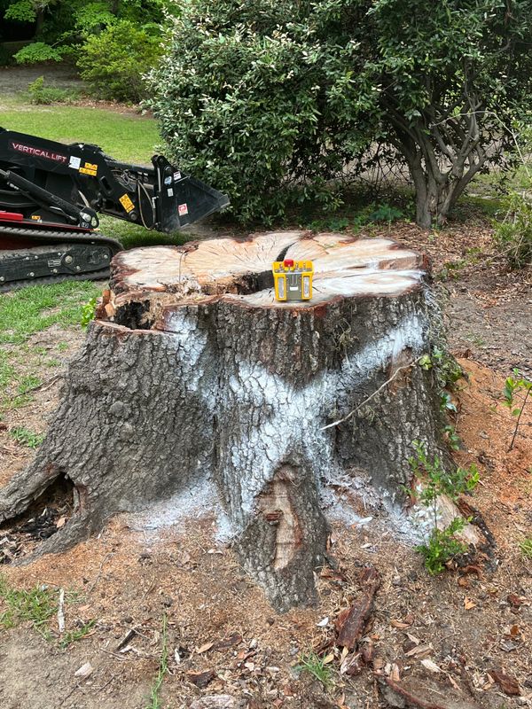 Stump Removal