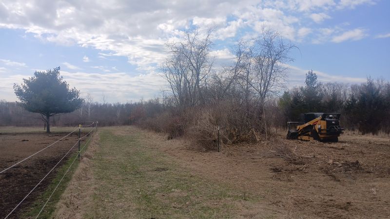 Forestry Mulching