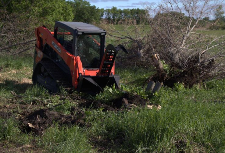 Tree Trimming & Removal