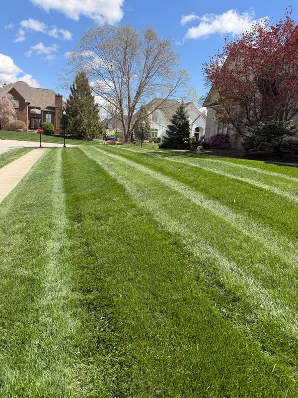 Lawn Care and Maintenance