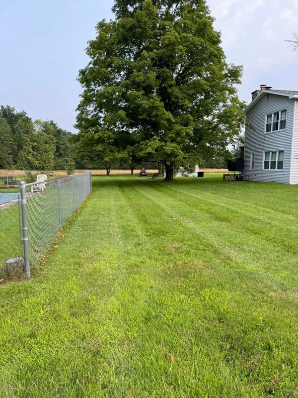 Lawn Maintenance