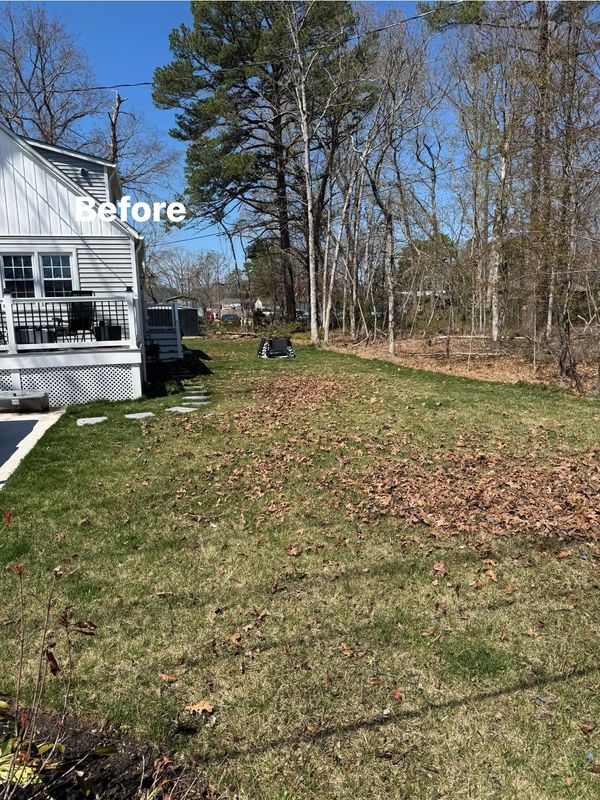 Fall Cleanup
