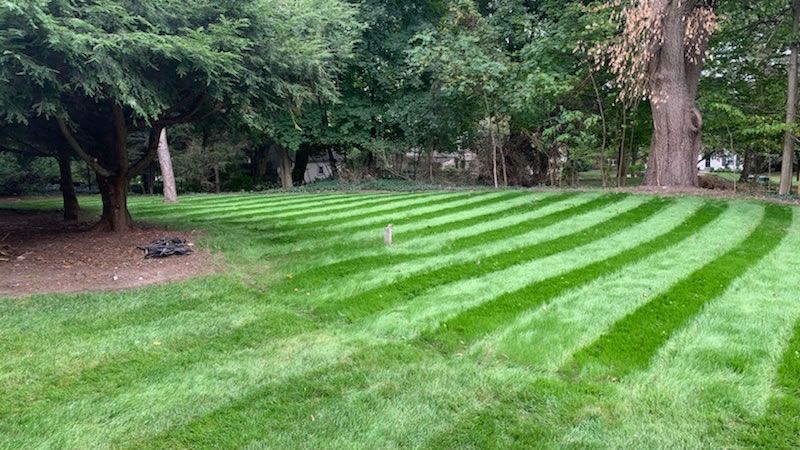 Residential Hydroseeding