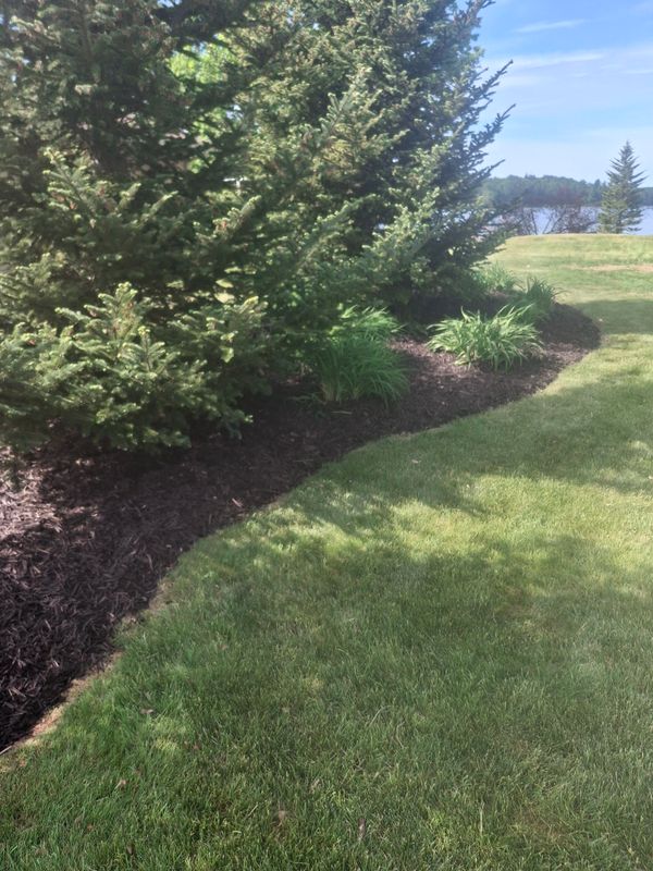 Landscape Design