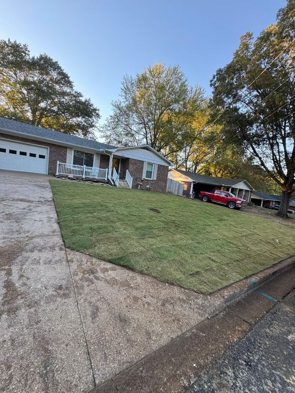 Sod Installation