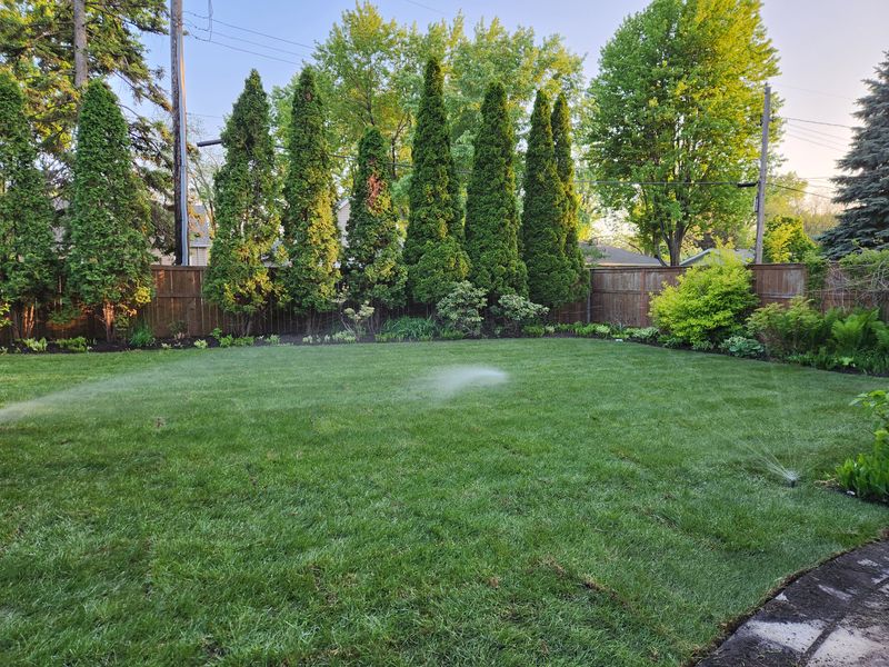 New grass