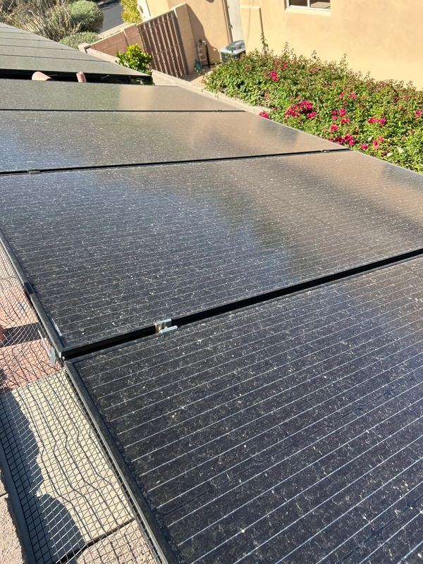 Bird Proofing