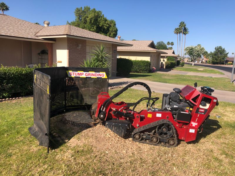 Stump Grinding