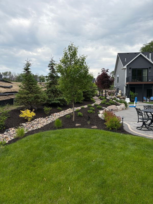 Tree and Shrub Care