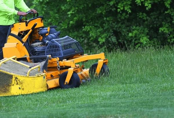 Tree & Shrub Care
